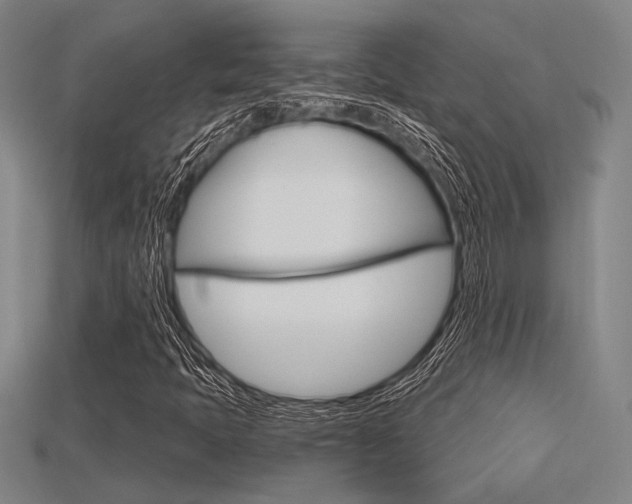 X0000115811397200911131033