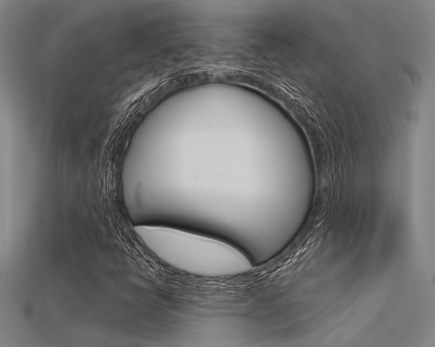 X0000115811398200911131033