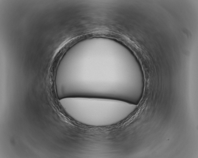 X0000115811400200911131033