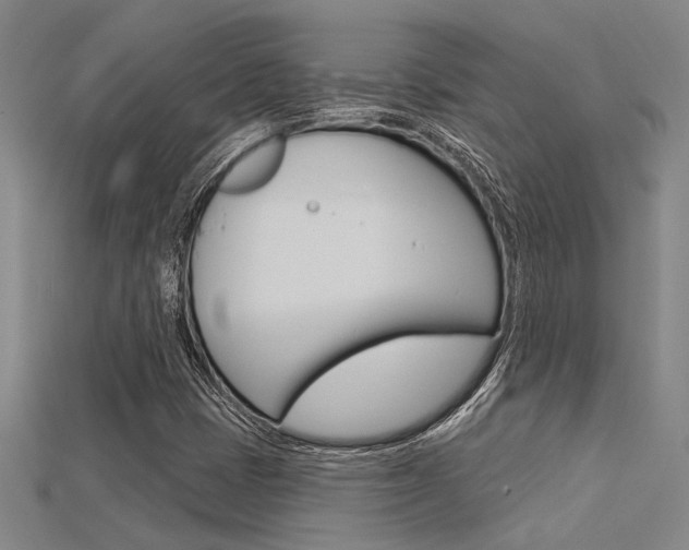 X0000115811401200911131033