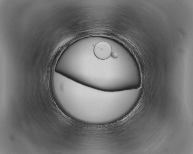X0000115811402200911131033