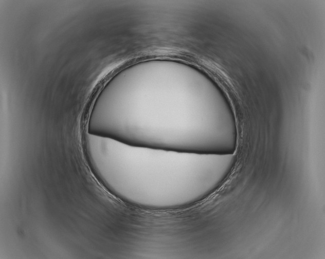 X0000115811404200911131033