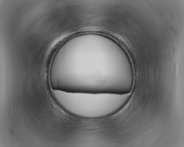 X0000115811406200911131033