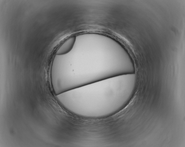 X0000115811407200911131033