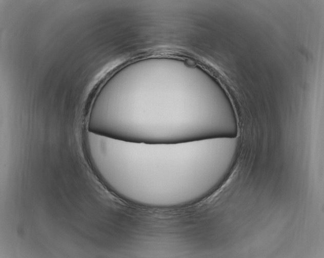X0000115811410200911131033