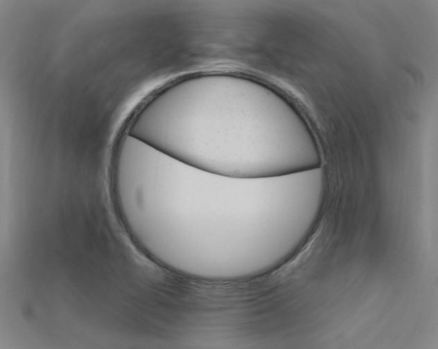 X0000115811414200911131033