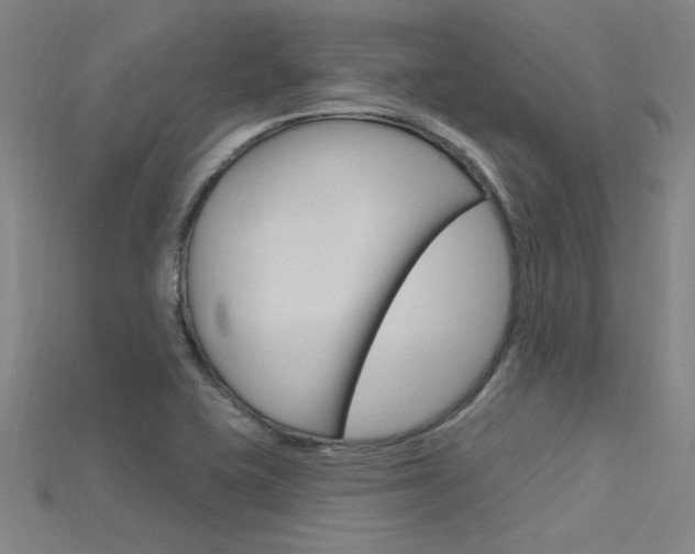 X0000115811415200911131033