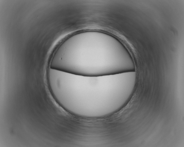 X0000115811416200911131033