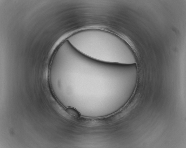 X0000115811420200911131033
