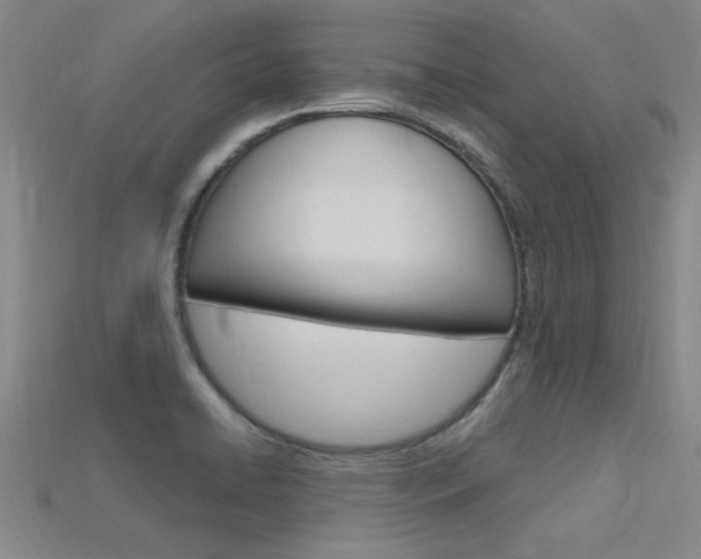X0000115811422200911131033