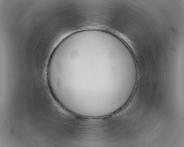 X0000115811423200911131033