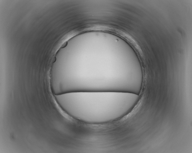 X0000115811425200911131033