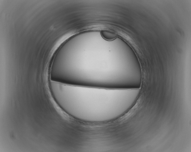 X0000115811426200911131033