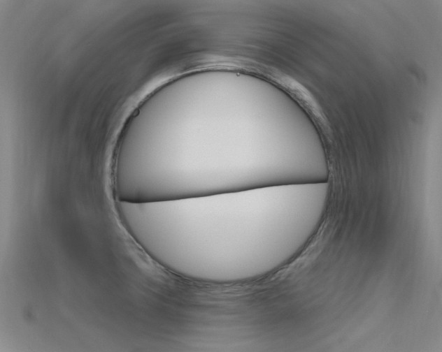 X0000115811427200911131033