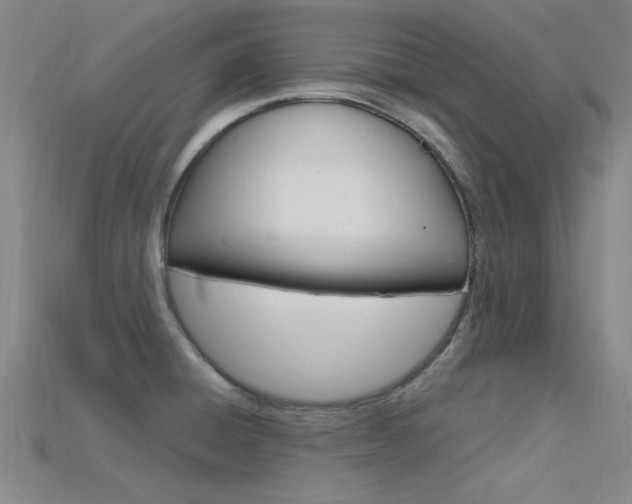 X0000115811428200911131033