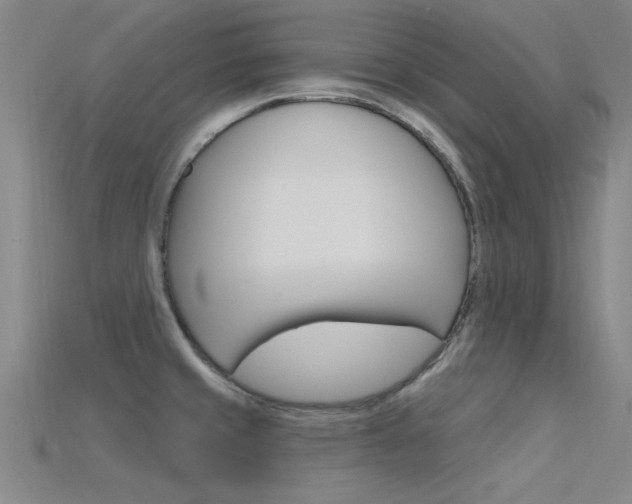 X0000115811429200911131033