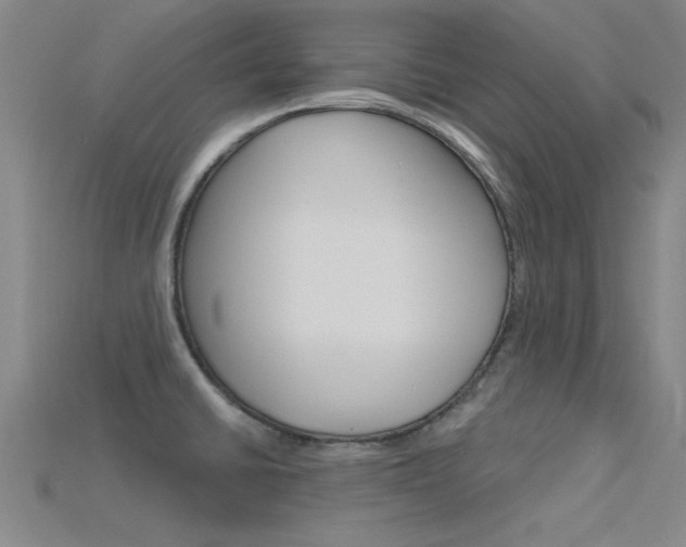 X0000115811430200911131033