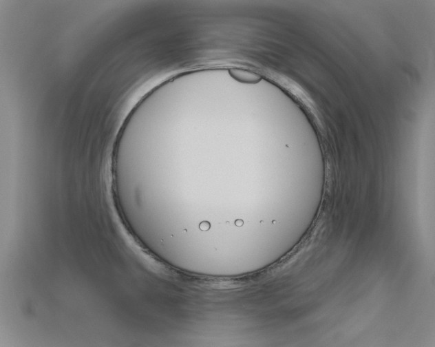 X0000115811431200911131033
