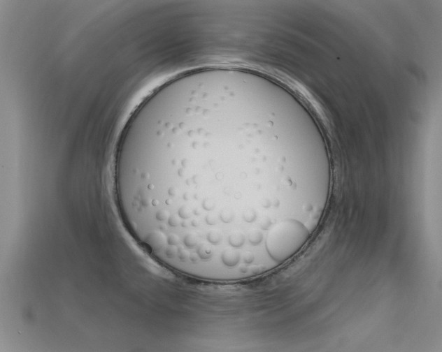 X0000115811432200911131033