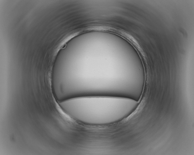X0000115811433200911131033