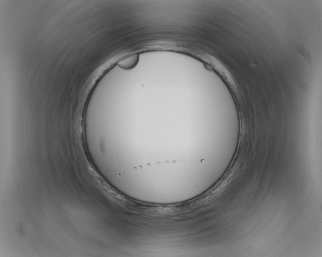 X0000115811435200911131033