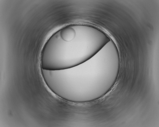 X0000115811437200911131033