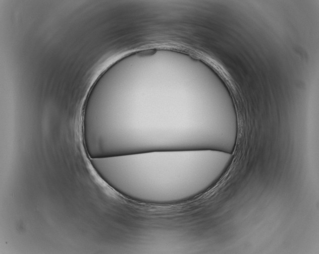 X0000115811439200911131033