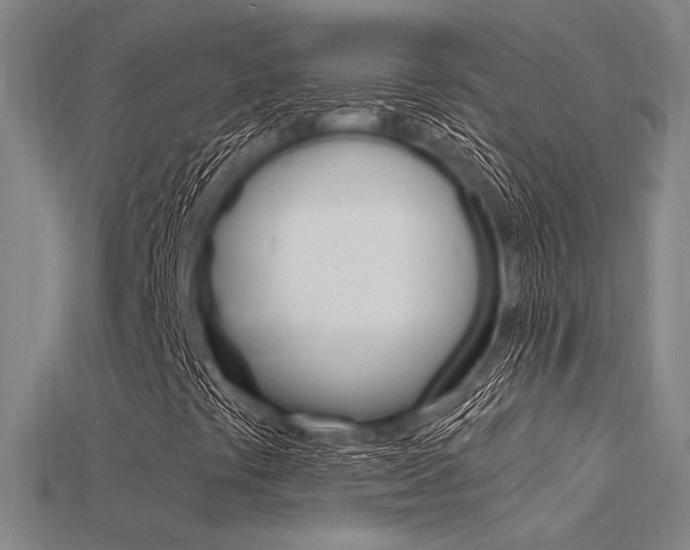 X0000115811441200911131033