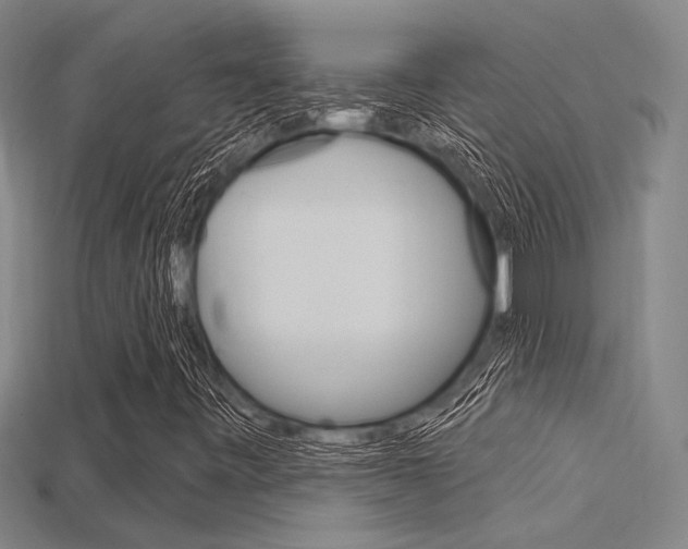 X0000115811443200911131033