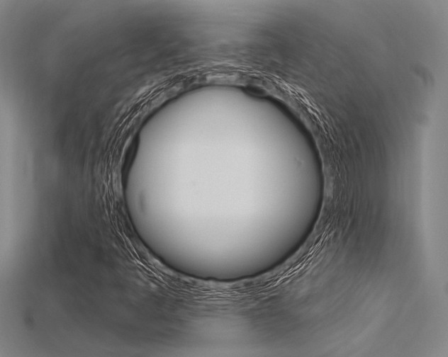 X0000115811445200911131033