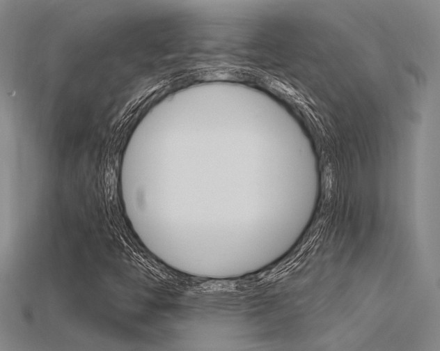 X0000115811446200911131033