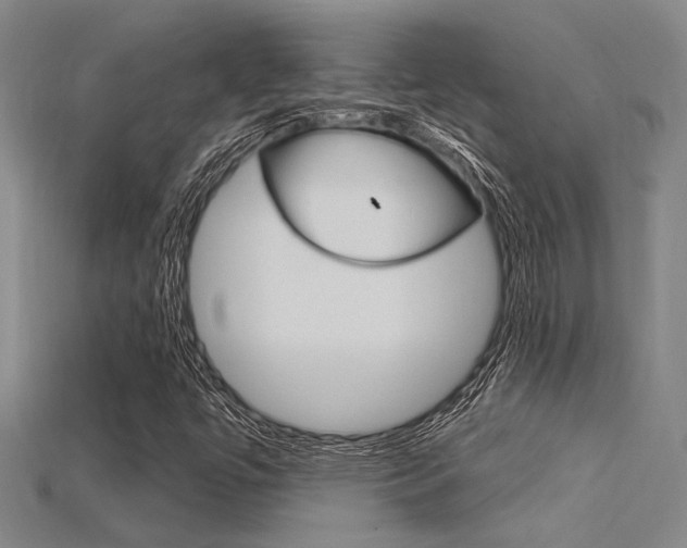 X0000115811447200911131033