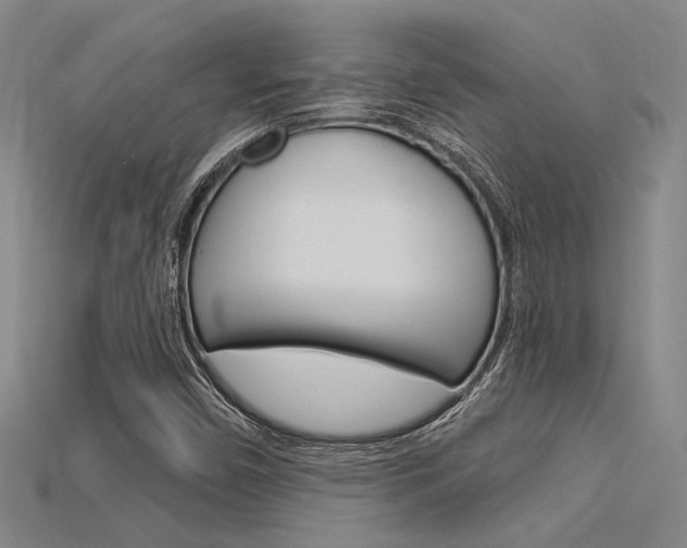 X0000115811450200911131033
