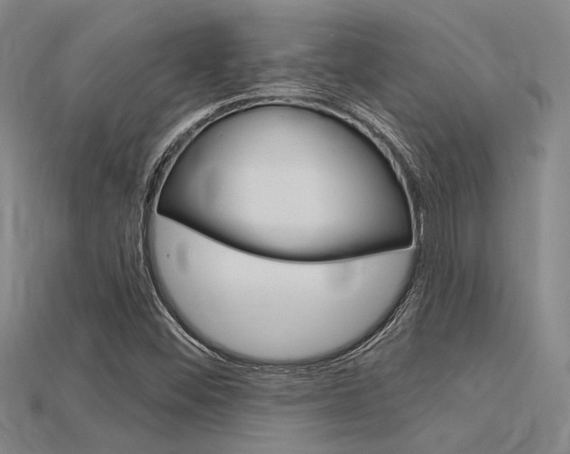 X0000115811452200911131033
