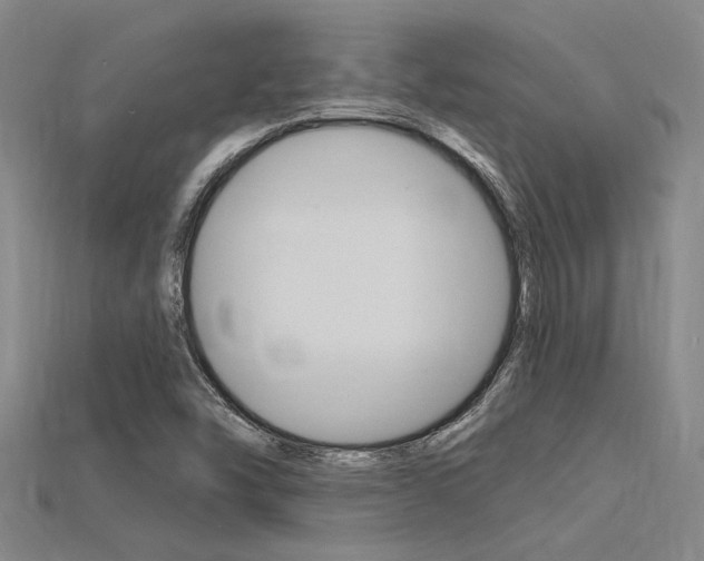 X0000115811454200911131033