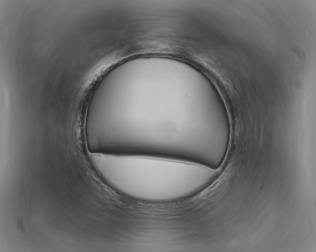 X0000115811455200911131033