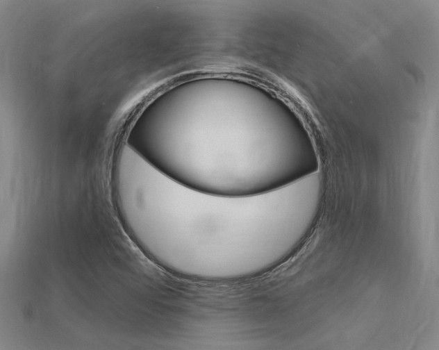 X0000115811456200911131033