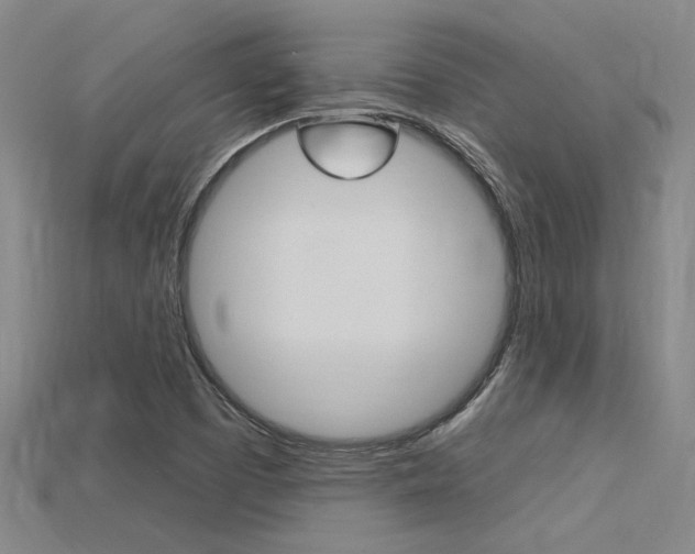 X0000115811457200911131033