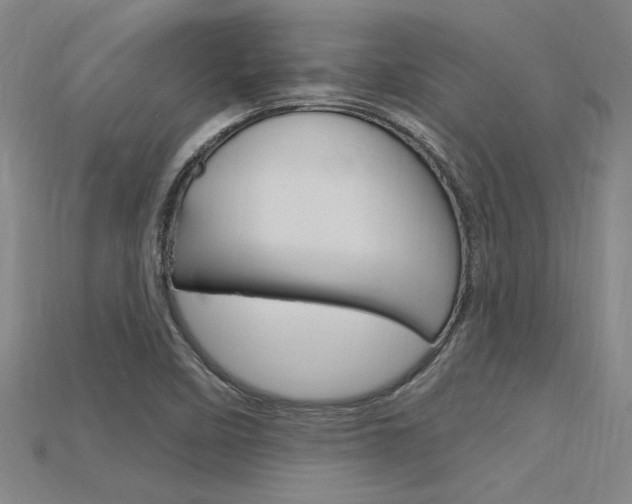X0000115811458200911131033