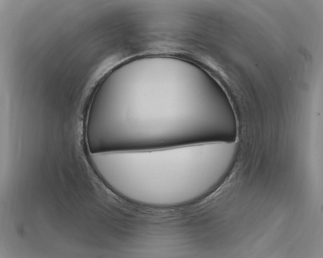 X0000115811459200911131033