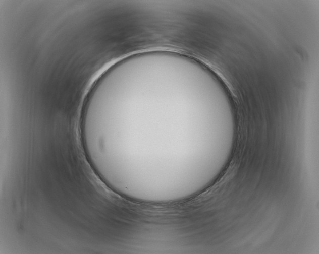 X0000115811460200911131033