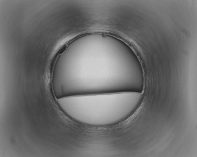 X0000115811461200911131033