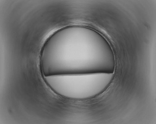 X0000115811463200911131033