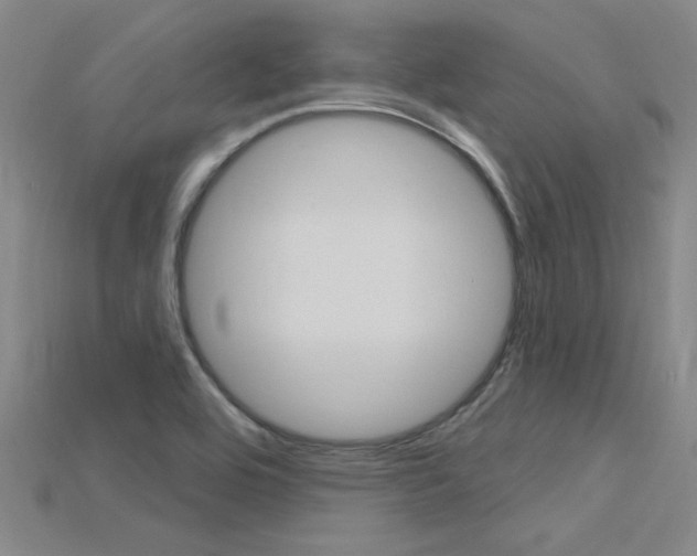 X0000115811464200911131033