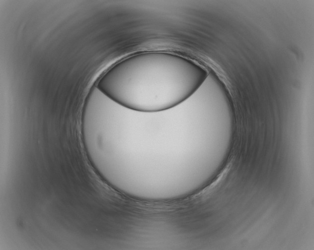 X0000115811465200911131032