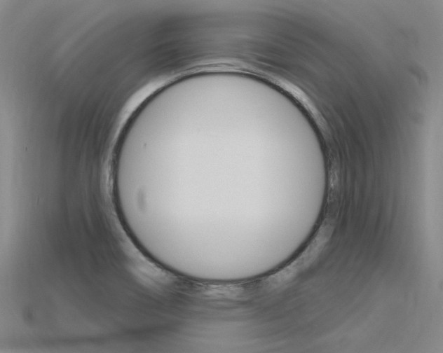 X0000115811466200911131032