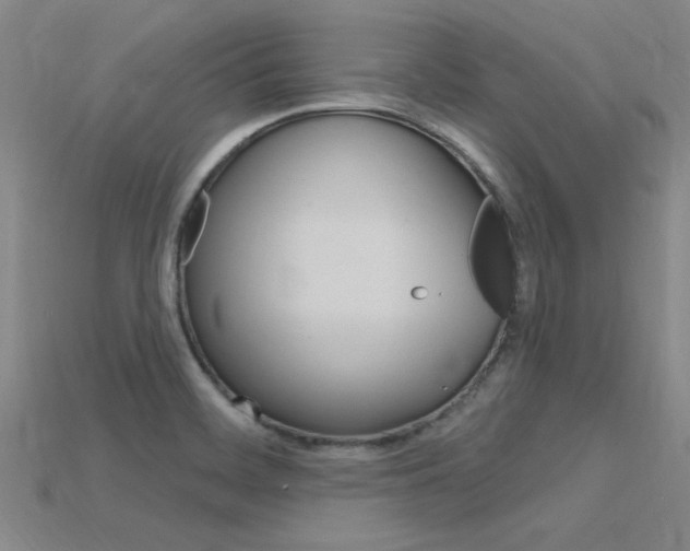X0000115811468200911131032