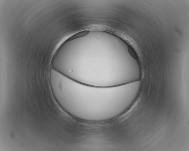 X0000115811473200911131032