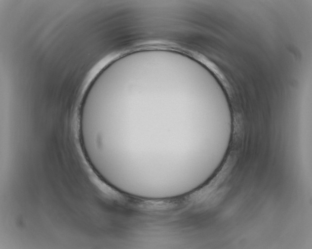 X0000115811474200911131032
