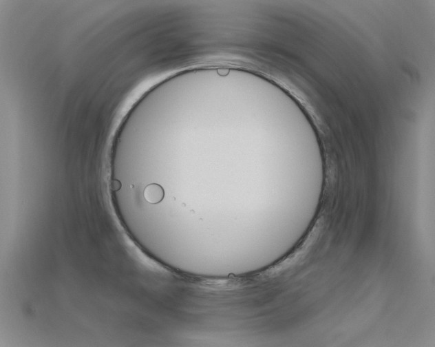 X0000115811478200911131032